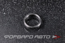 TOYOTA  9672119010 Кольцо уплотнительное трубки щупа WHT003379;11437791065;6822.JK;15066AR040;607644;90411826;WHT003379;9672119010;9672319010;16522300;476.820;A0049978045;5000275539;288730770;11.490730128;65.965010035;51.965010518;81.965010 168685