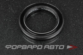 HONDA  91202RDK003 Сальник 48*67*7  36058