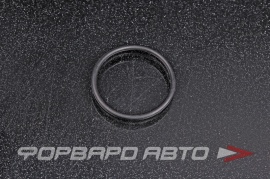 NOK  OR02.00_025.00 Кольцо уплотнительное маслостойкое 25*2 33250 06.569361298 36.965010049 81.965020068 CA161B13 B2064 80049 7800240011 HR0321 HR0321C O02716 432N10043Z A00784 APU00117XXX 25*29*2 25x29x2 28987