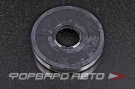 NOK  BE4516E0 Сальник 21*60*10  150135