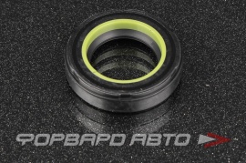 NOK  BP1829G0 Сальник высокого давления 24*38,2*8,5 9031124008 BPP1128A0 HAZ0842 F00229 F00229A 410N10443Z 05147