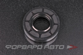 NQK  25*52*10TC Сальник 25*52*10 (TC)  234993