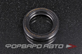 TOYOTA  9031025032 Сальник высокого давления 25*35*6 BP6335E 85477