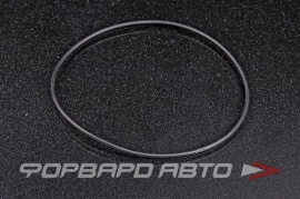 NOK  OR02.00_099.00 Кольцо уплотнительное маслостойкое 99*2 A50413 99*103*2 99x103x2 29061