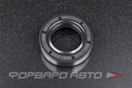 NQK  25*42*10TC Сальник 25*42*10 (TC) 969М2303100 221727