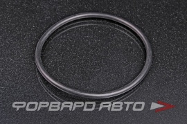 NOK  OR05.00_090.00 Кольцо уплотнительное маслостойкое 90*5 A50368 7800056 0901005 0 90*100*5 90x100x5 51773