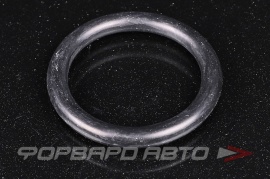 NOK  OR06.00_038.00 Кольцо уплотнительное маслостойкое 38*6  216700