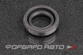 TOYOTA  1119350010 Сальник 25*43*11 свечного колодца EZ8326A0 31774