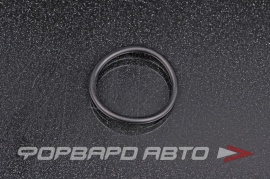 NOK  OR02.50_028.00 Кольцо уплотнительное маслостойкое 28*2,5 12513P72003 06.563332363 9676124028 9030127010 9030127015 02.5677.86.40 02.567.78.64.0 115.A593 WHT001315 RR243 01400008 HR0425A HR0425AC O02852A 08145 85940 106865 10.13171 432N 29073