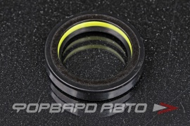 TCS  F01617 Сальник высокого давления 27*38*7 7V1 P05480 S02R00203 HAZ1645 HA1645 92300578 HAZ0924RRCS HA0924RR HAZ0924RR F00589XX 410N10431Z 66887