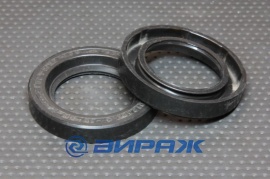 РОССИЯ безпружинки 38X54X10 Сальник 38*54*10  87142
