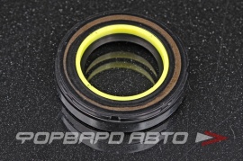 TCS  F01373 Сальник высокого давления 25*41*8 7V2 P01745 67029