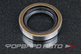 NOK  BHS1934A0 Сальник 35*50*9,5 (BH) мет. BHS1934A0 9031035005 9031035010 9031135024 19017585B TOS003 BH4371E0 T1228 01010031 03392