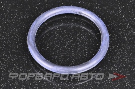 NOK  CO6966G0 Кольцо уплотнительное системы охлаждения MD145371 228204