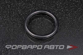 DAEWOO  55353331 Кольцо уплотнительное 5650969 130637