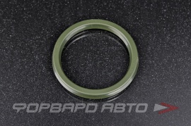 NOK  FU0619S Манжет фторопласт 50*60*6  81754