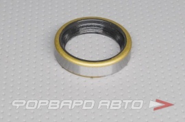 PAYEN  NJ125 Сальник 34*44*10 (б/н) мет. 4053301J00 N2268 4053301J00 NJ125 87316