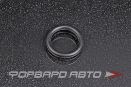 NOK  OR03.00_016.00 Кольцо уплотнительное маслостойкое 16*3 WHT002001 29111