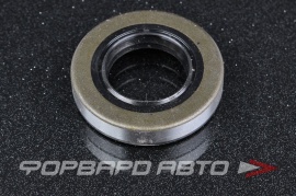 TCS  P03633 Сальник высокого давления 24*43*8,5 1РМ F00099 P02670 90100091 HAZ0460CS HA0460 435N10089Z 19016883B AP8916E0 APU00983XXX RSC00099 9031124001 24*43*8 6 24*43*9 45593