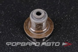 NOK  BV6569G0 Колпачок маслосъемный LF01101F5 THV4115E EV3012 1S7G6A517BG 2283098 1206655 1119848 JDE1361 LR025006 LF01101F5 1F2310155A 1D00101F5 8694964 026.680 LR025006 703554400 211137