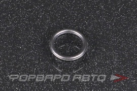 NISSAN  1661838Y10 Кольцо форсунки 1632864J10 233789