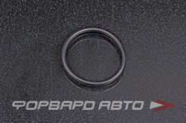 NOK  OR02.50_031.00 Кольцо уплотнительное маслостойкое 31*2,5 11531406249 91301PJ7000 A0129977545 98465110 21594140 90301A0032 9672124031 RR161 HR0426 O02853 O02853A A00920 HR0426A HR0426AC 432N10078Z HR0427B HR0427BC 01400001 JF46380FP O02 29076