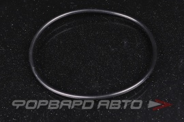 NOK  OR02.50_069.00 Кольцо уплотнительное маслостойкое 69*2,5 HR0758 O02870 A01605 69*74*2 5 69x74*2 5 29133