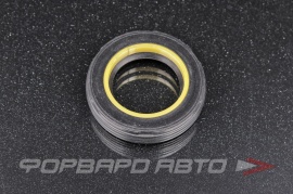 NOK  BP4845E Сальник высокого давления 25,5*41*8,5 BP4845E0 87405