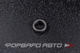 SUZUKI  1571009300 Кольцо форсунки  81725