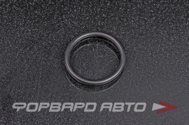 NOK  OR02.50_025.00 Кольцо уплотнительное маслостойкое 25*2,5  29065