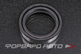 TTO  D8135 Сальник 36*48*11 (б/н) рез. DC две пружины P40FORK455132 ARI.025 1KH231450000 156164