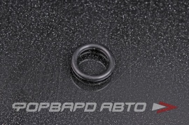 NOK P21 OR02.50_012.00 Кольцо уплотнительное маслостойкое 12*2,5 138751 251581 913055A2A01 29043