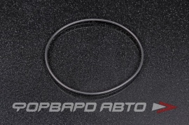 NOK  OR02.00_075.00 Кольцо уплотнительное маслостойкое 75*2 HR0377 O02786 432N10223Z A01684 APU00293XXX 75*79*2 75x79x2 29059