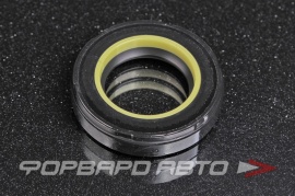 NOK  BP4830E Сальник высокого давления 25*41*8,5 BP4830E0 19026819B HAZ0884CS HA0884 F00288 410N10455Z HAZ1543 HA1543 87400