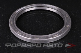 CORTECO  19036599B Сальник 85*105*8 (LH) коленчатого вала (коренной) 059103051H 059103051K 814048900 331.330 210090