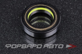 TCS  F00670 Сальник высокого давления 22*35*8,5 7V1 P07234 HAZ0672CS HA0672 410N10652Z 9031122014 BP3379F0 47607