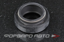 NOK  AR1309H0 Сальник стойки 25*38*10/15 9031625001 AR1309H 08912