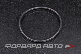 NOK  OR03.50_067.00 Кольцо уплотнительное маслостойкое 67*3,5  47303