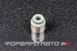 NOK  BV3960G1 Колпачок маслосъемный MD307341 MV426 EV2010V 241704