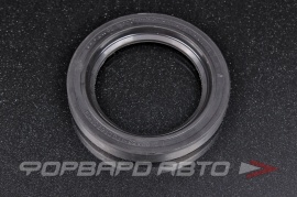 РОССИЯ  60X85X101,2 Сальник 60*85*10 - 1,2 37413103038 693103038 87175