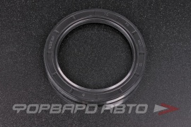 NQK  75*100*10TC Сальник 75*100*10 (TC) 19170432102 234810