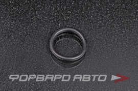 NOK  OR02.50_018.00 Кольцо уплотнительное маслостойкое 18*2,5 11421741129 13628658854 16126766044 06.563332242 06.569390191 A0219975945 A0229979145 A0239970345 12644073 21049ZL80A N90613201 213162A100 K9954101805 30640625 RR0217 16104100 HR 29049