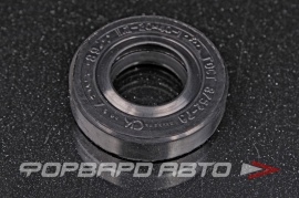 РОССИЯ  20X40X102,2 Сальник 20*40*10 - 2,2 10104122 87106