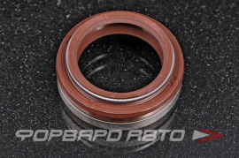 NOK  BW2613E Сальник 24*34*8*11 ТНВД 24*34*811 24*34*118 0940870050 143411