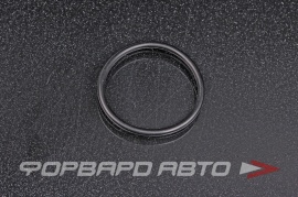 NOK  OR02.50_033.00 Кольцо уплотнительное маслостойкое 33*2,5 81.965030211 O02832 HR0411 HR0411C O02832 432N10089Z A00966 RR788 33*38*2 5 33x38x2 5 29068