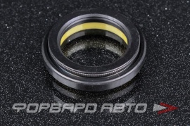 TCS  F00284 Сальник высокого давления 22*32*4/6,5 4V2 P01399 90100276 HAZ0594CS HA0594 410N10492Z AGS00284 04340ST SL00284 495PS284 APU00824XXX 37148