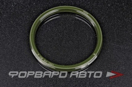 NOK  FU0849S Манжет фторопласт 70*80*6  81765