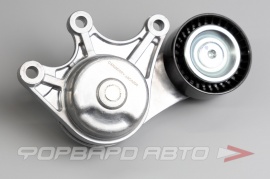 CARBERRY  55CA294 Натяжитель приводного ремня 55CA294;47596;534053510;PT3281;AG00166;TFD1349;VKM38227;11287594969;T39191;529048310;GA350.00;RNKBM022; 208648