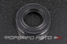 TCS  F00114X Сальник высокого давления 18,5*32*6/7 1РМ P10623 93302