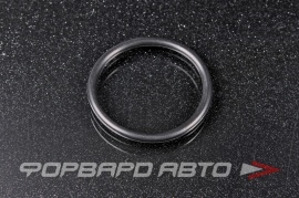 NISSAN  150666N202 Кольцо уплотнительное  200119